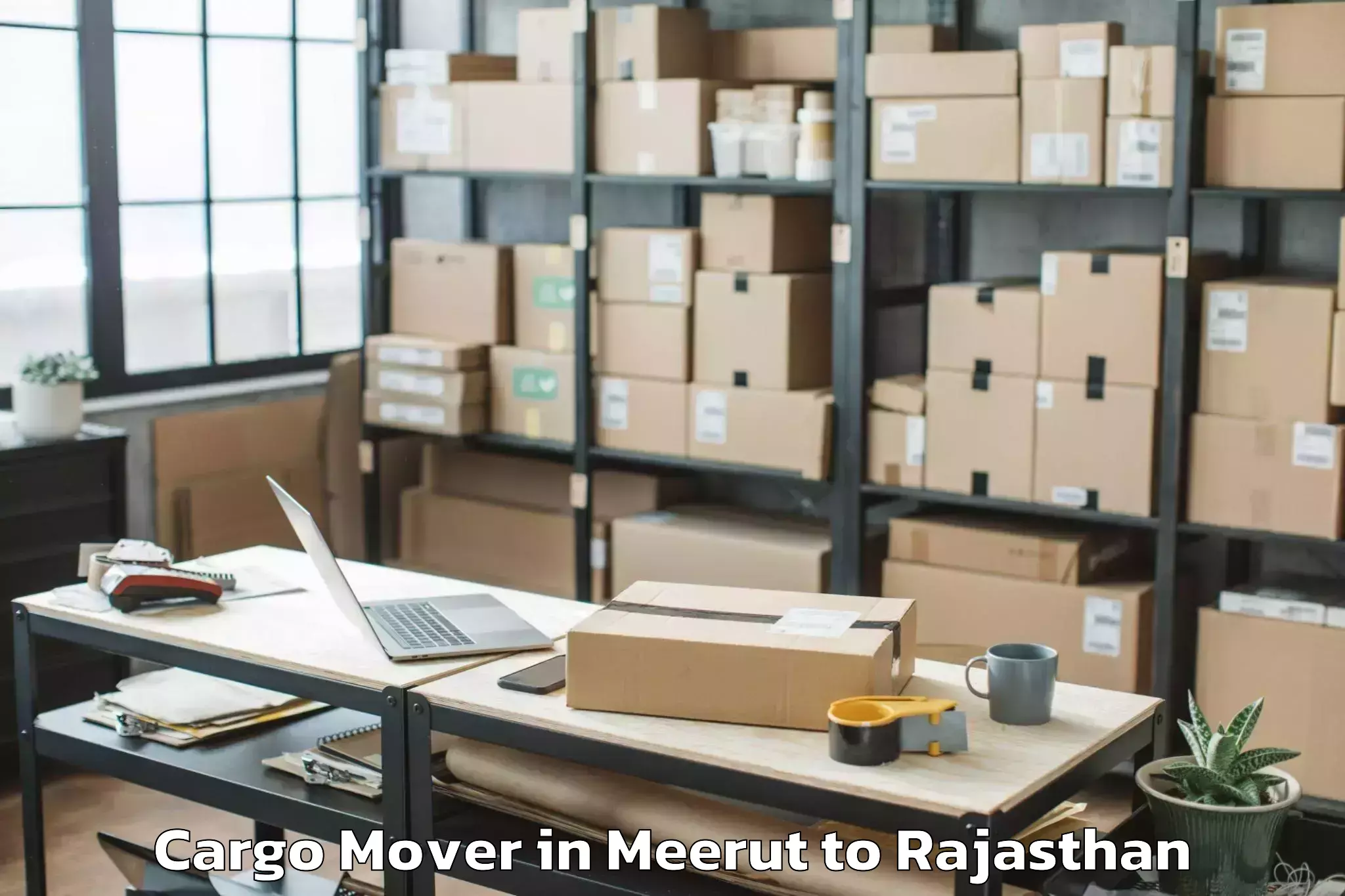 Reliable Meerut to Parbatsar Cargo Mover